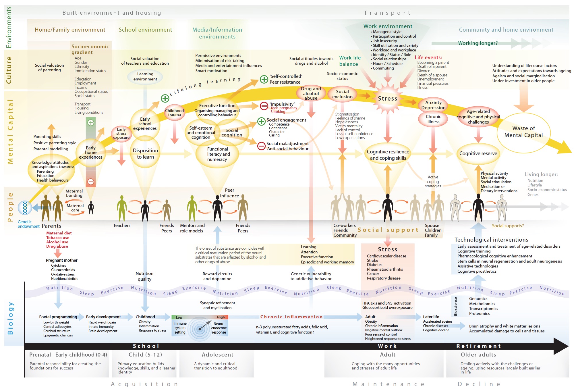 Mental Capital and Wellbeing